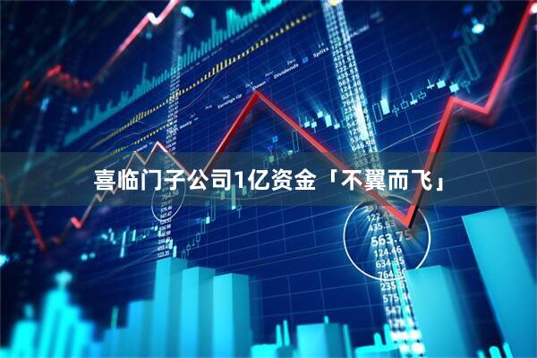 喜临门子公司1亿资金「不翼而飞」