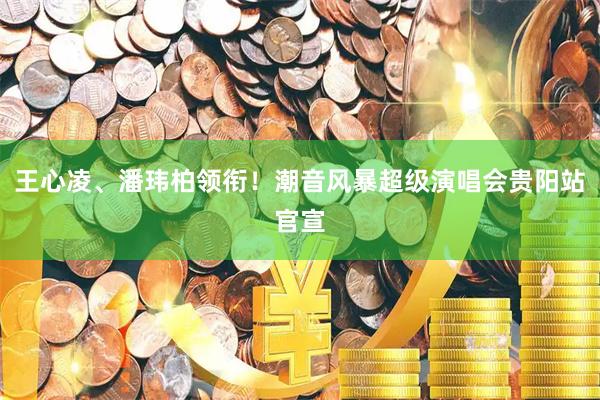 王心凌、潘玮柏领衔！潮音风暴超级演唱会贵阳站官宣